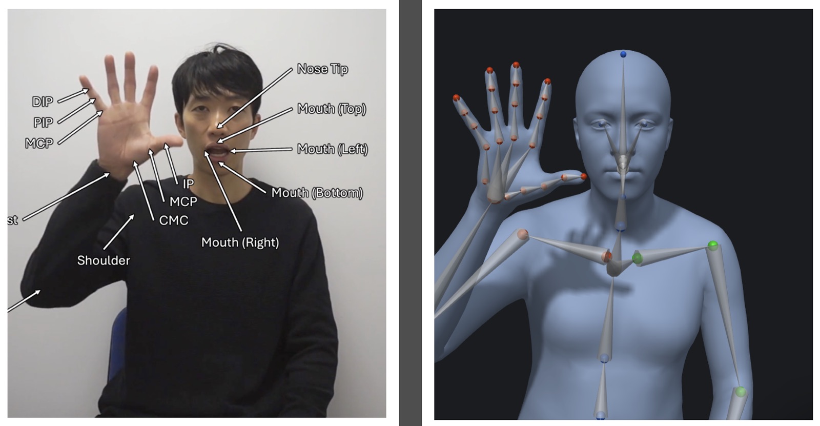 Sign-language kinematics: a signer with annotated hand and face landmarks beside a 3D skeletal reconstruction